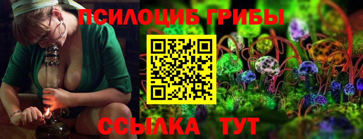 что такое наркотик  Вход с VPN  Кушва  Псилоцибиновые грибы мицелий 